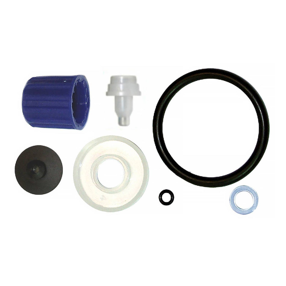 GDM Sprayer Spare Parts Lady Pump Standard Seal